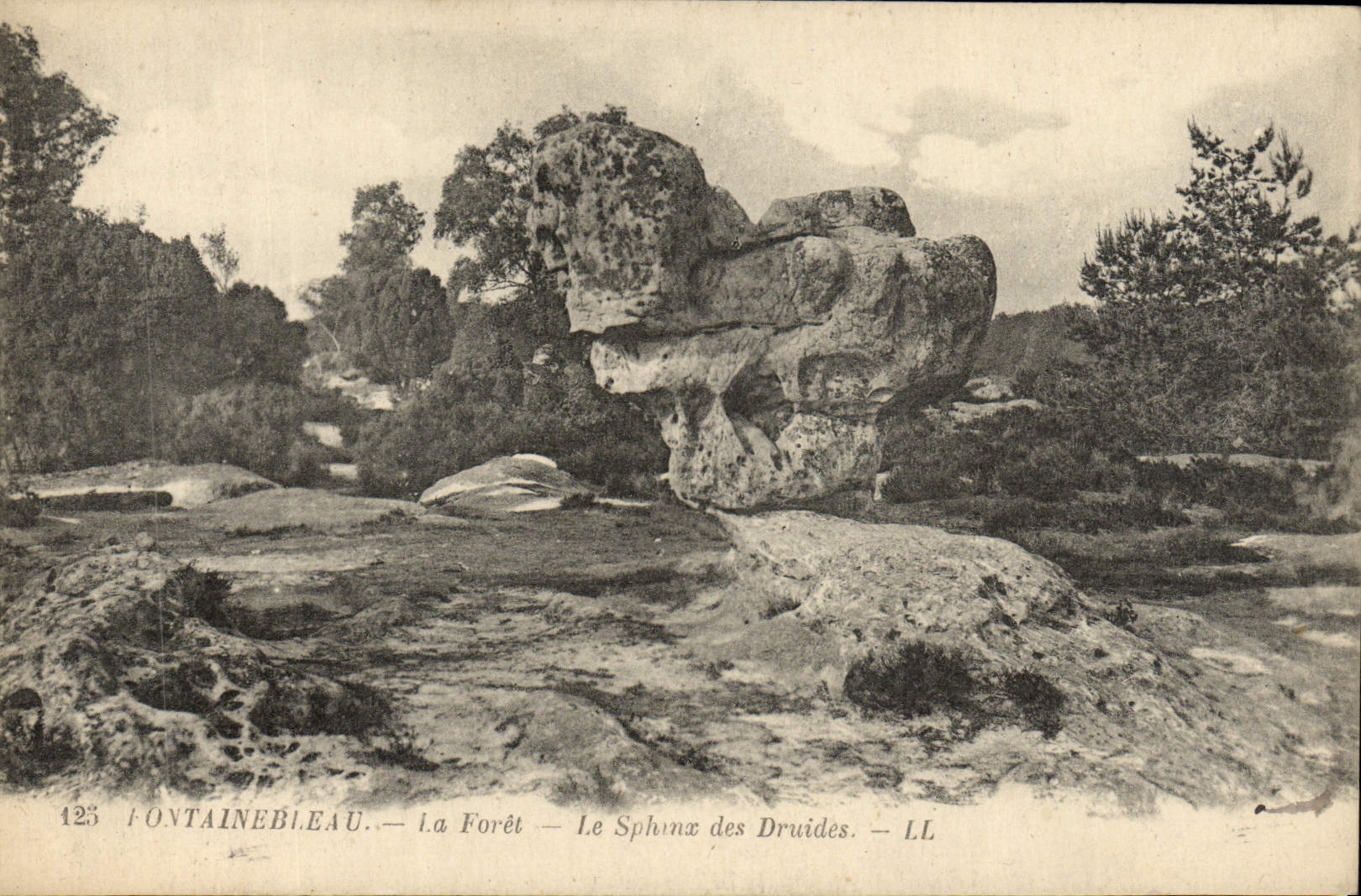 CPA Fontainebleau La Foret Le Sphinx Des Druides
