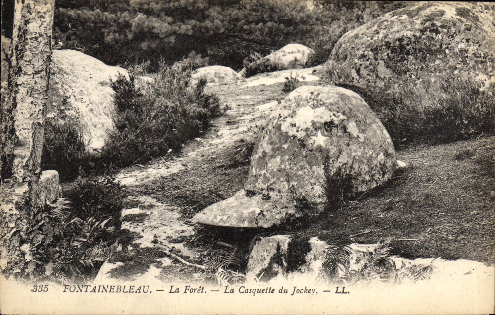 CPA Fontainebleau La Foret La Casquette Du Jockev