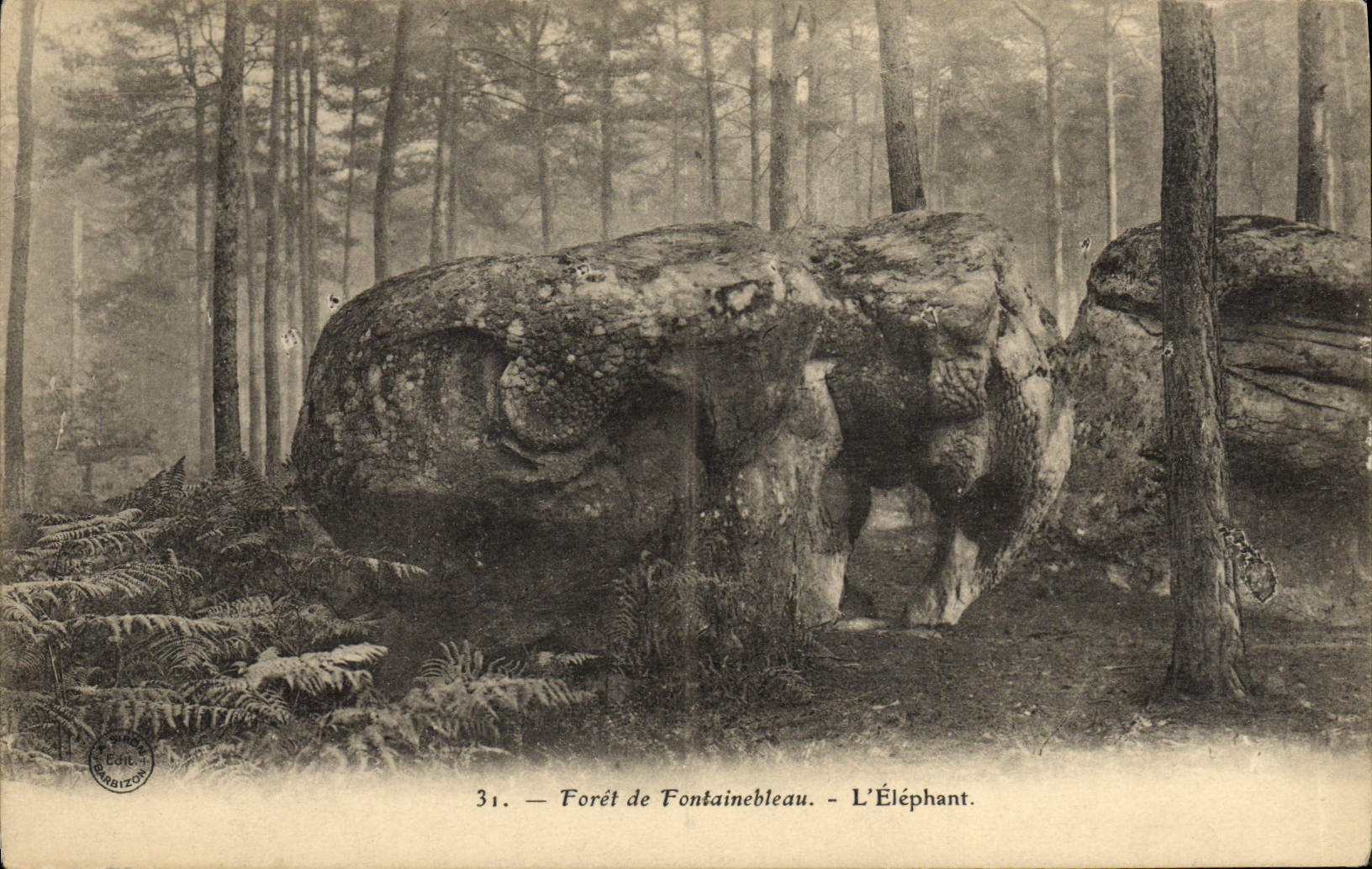 CPA Foret De Fontainebleau L'Elephant Elephant