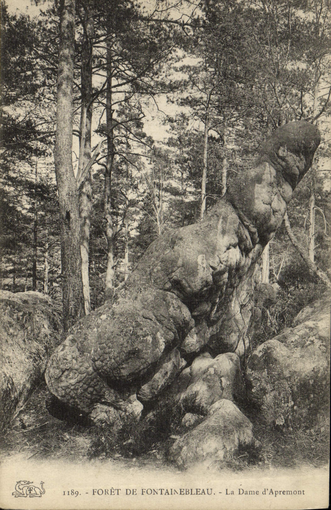 VINTAGE POSTCARD Drill De Fontainebleau the Lady D' Apremont