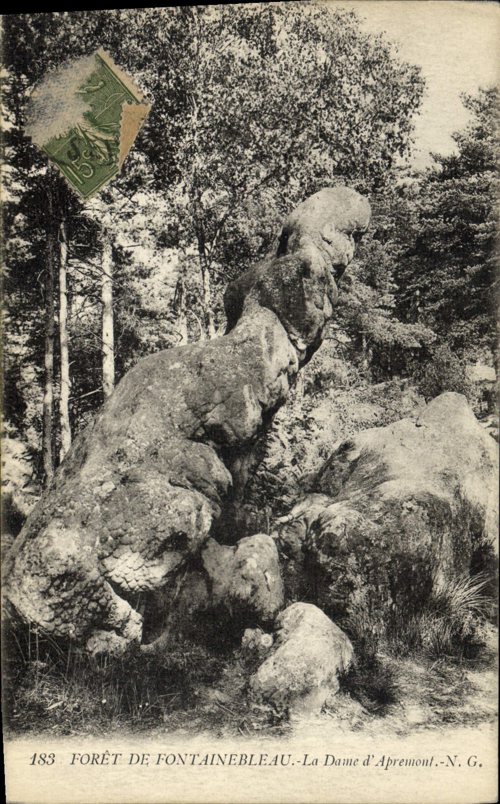 CPA Foret De Fontainebleau La Dame D'Apremont
