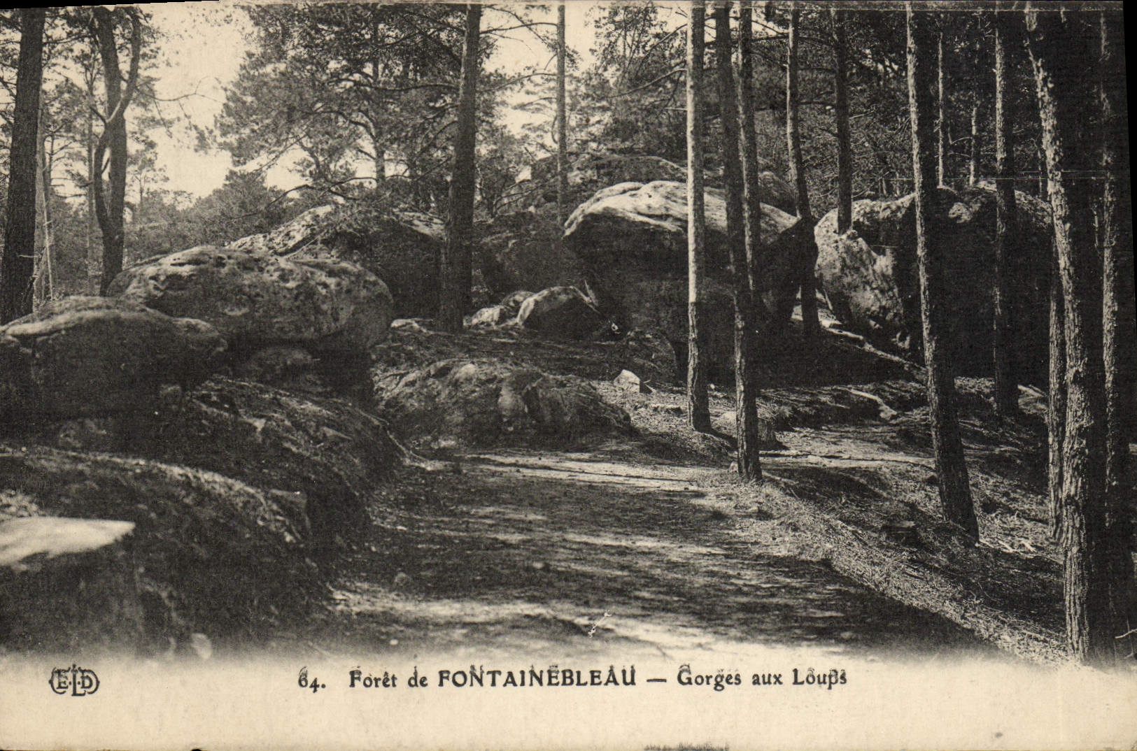 CPA Foret De Fontainebleau Gorges Aux Loups