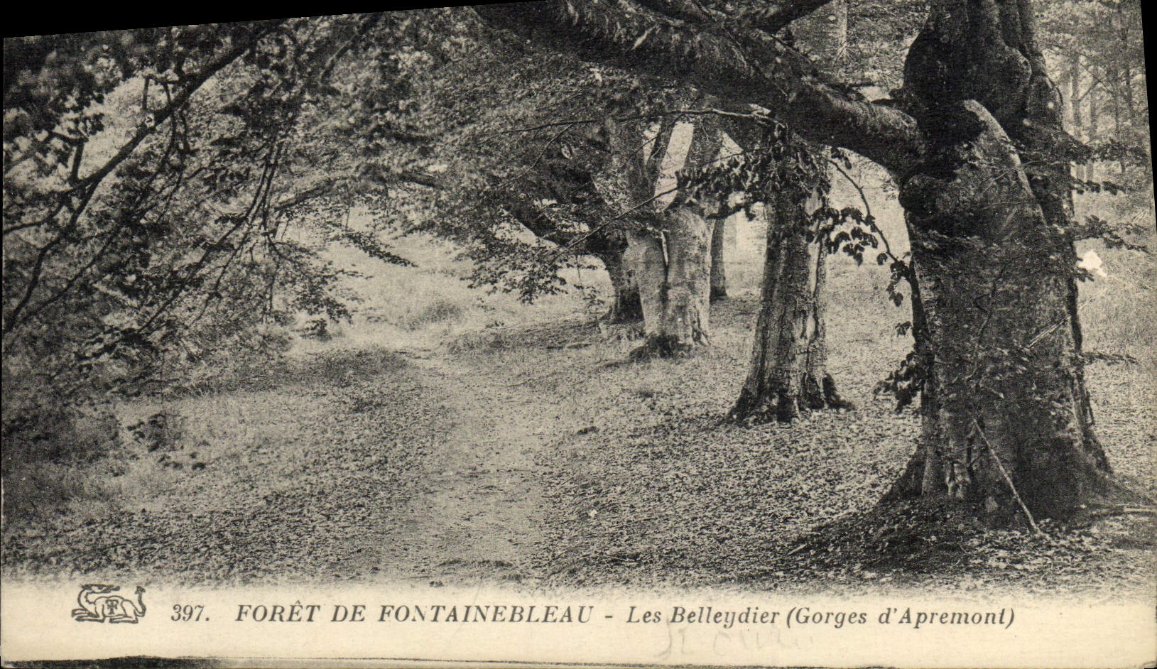VINTAGE POSTCARD Drill De Fontainebleau Belleydier Falls of Apremont