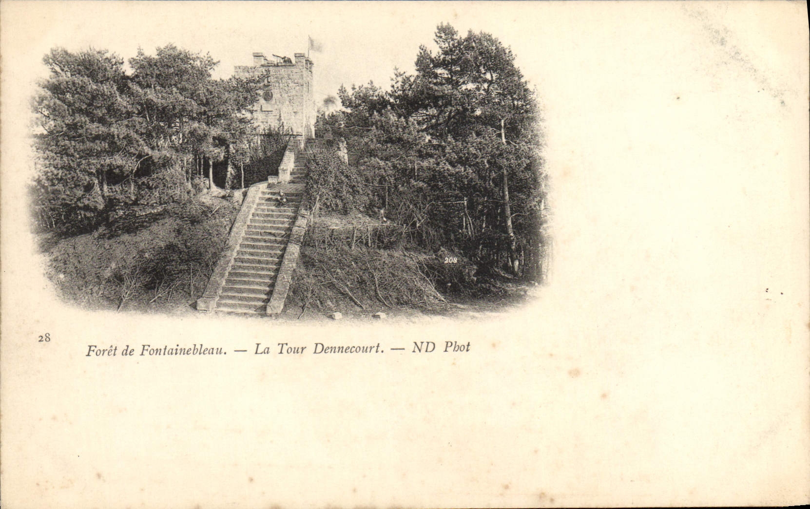 CPA Foret De Fontainebleau La Tour Dennecourt