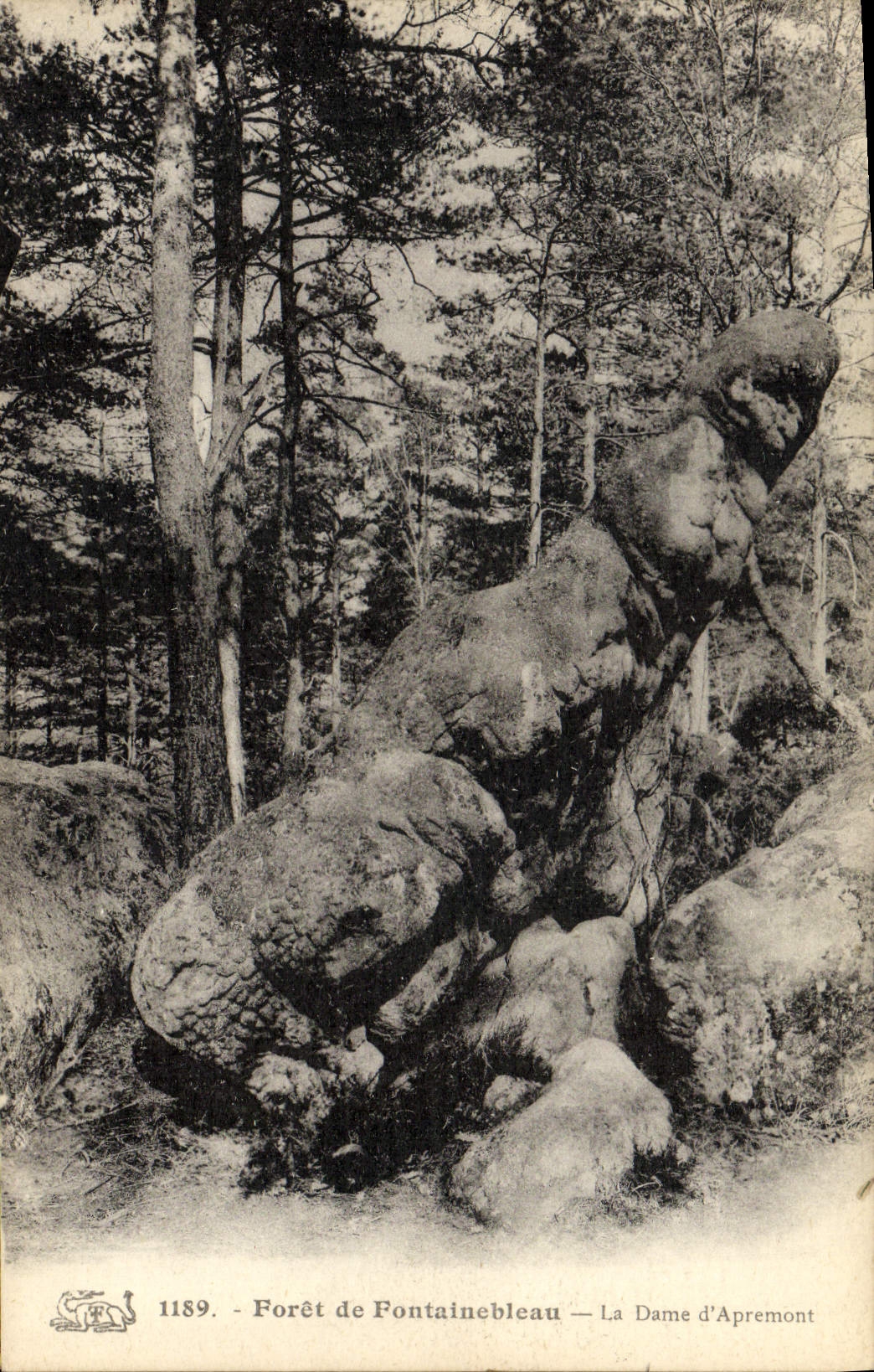 CPA Foret De Fontainebleau La Dame d'Apremont