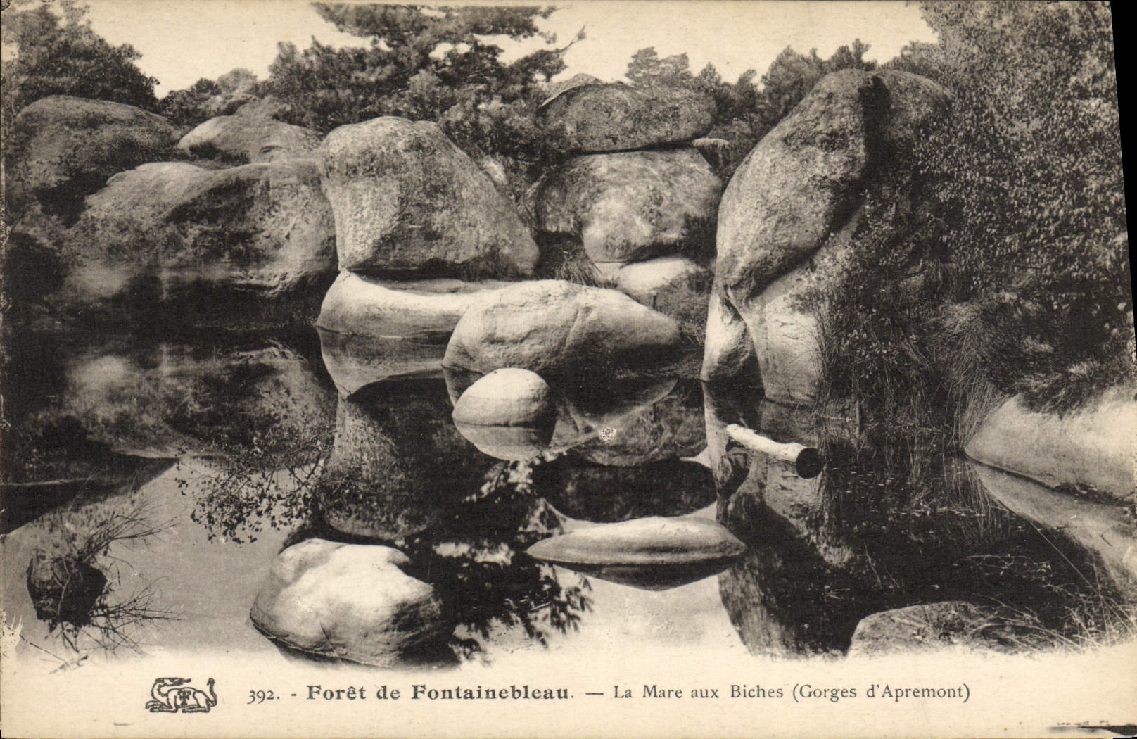 CPA Foret De Fontainebleau La Mare Aux Biches Gorges d'Apremont 