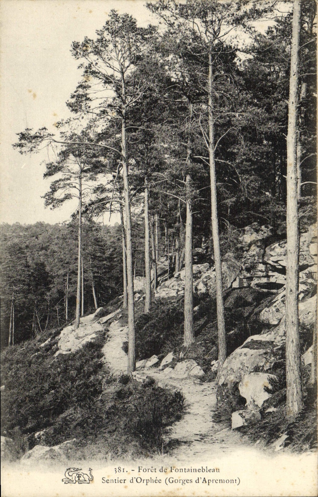 CPA Foret De Fontainebleau Sentier d'Orphee Gorges d'Apremont