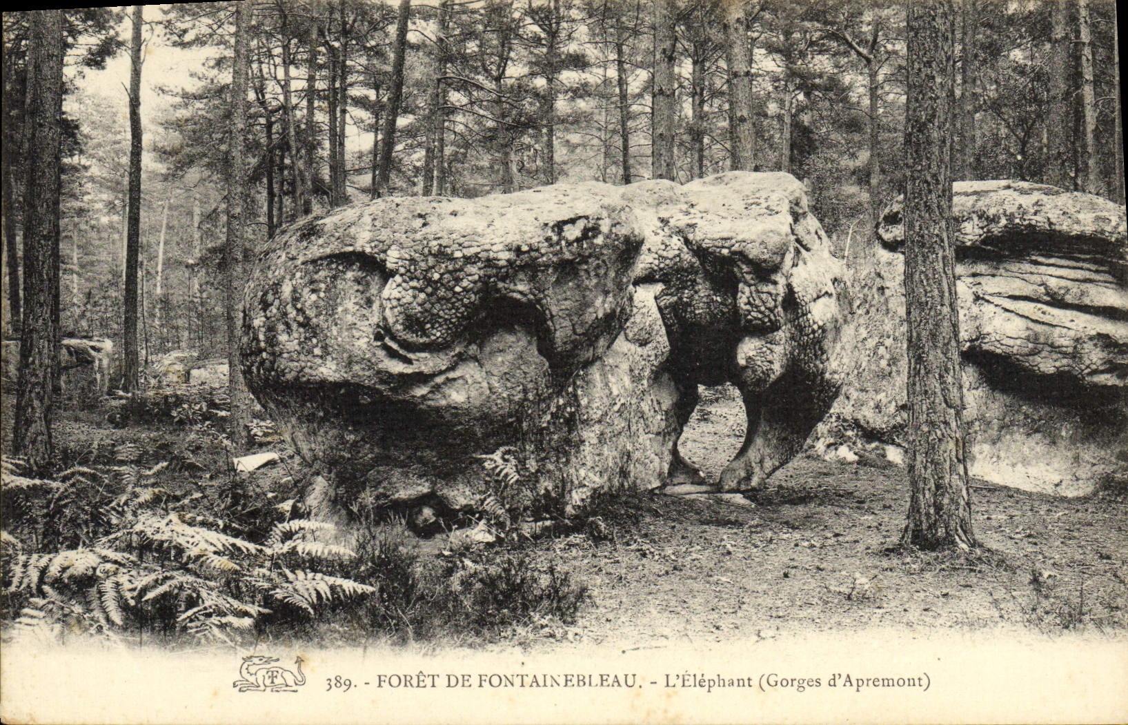 CPA Foret De Fontainebleau L'Elephant Elephant Gorges d'Apremont 