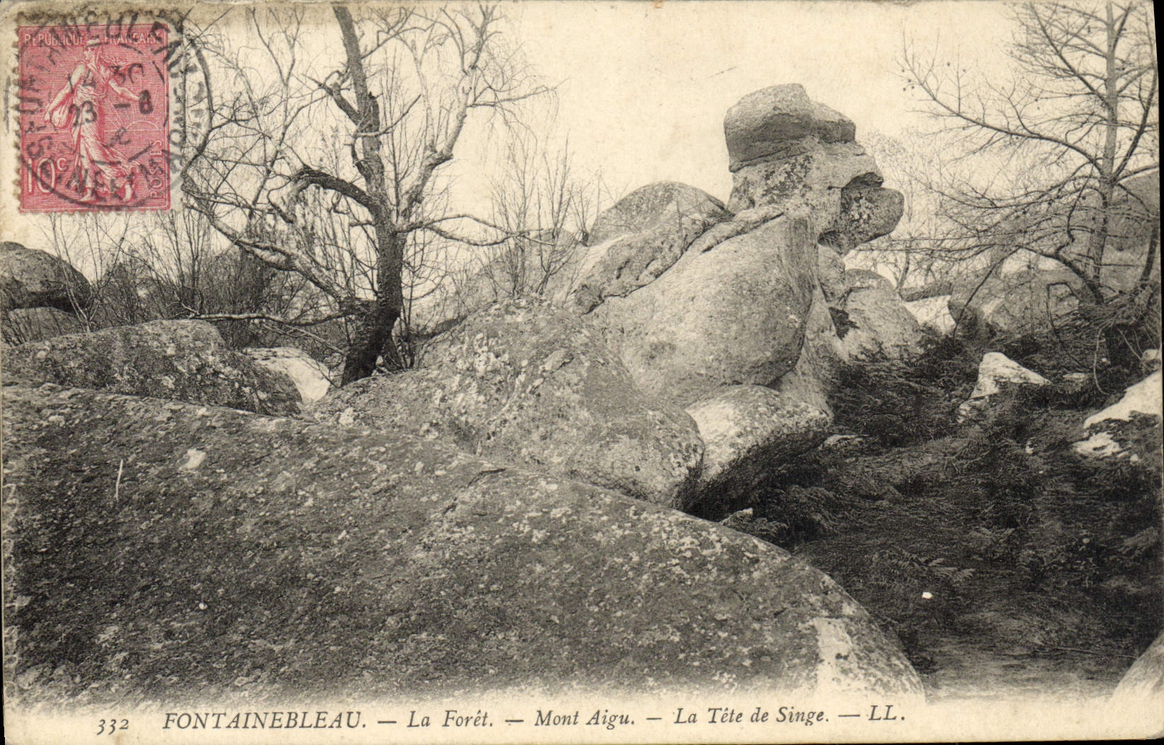CPA Fontainebleau La Foret Mont Aigu La Tete De Singe