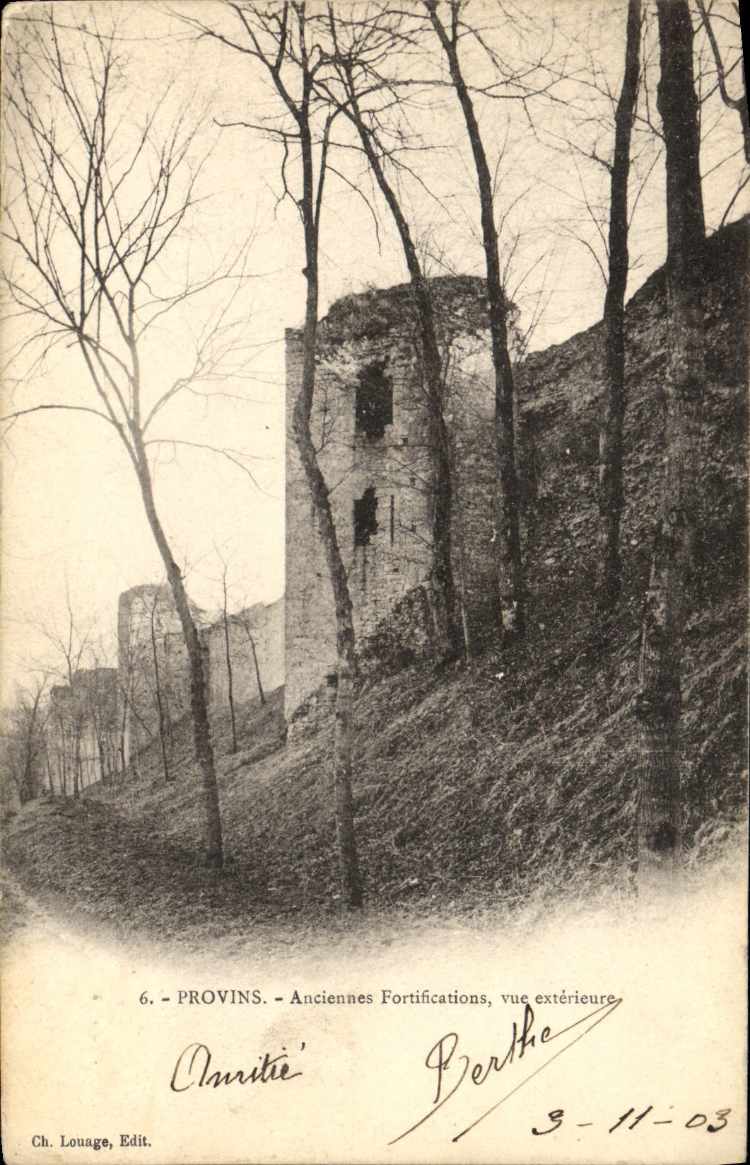 VINTAGE POSTCARD Layered branches Old Fortifications Seen External