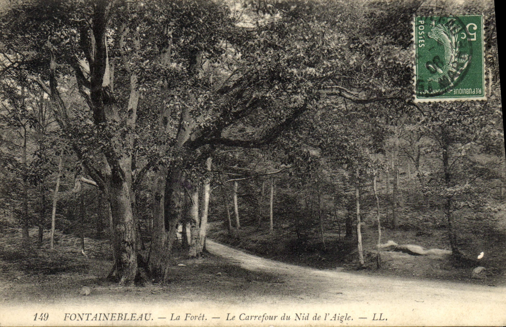 VINTAGE POSTCARD Fontainebleau the Drill the Crossroads Of the Eyrie Eagle Raptor