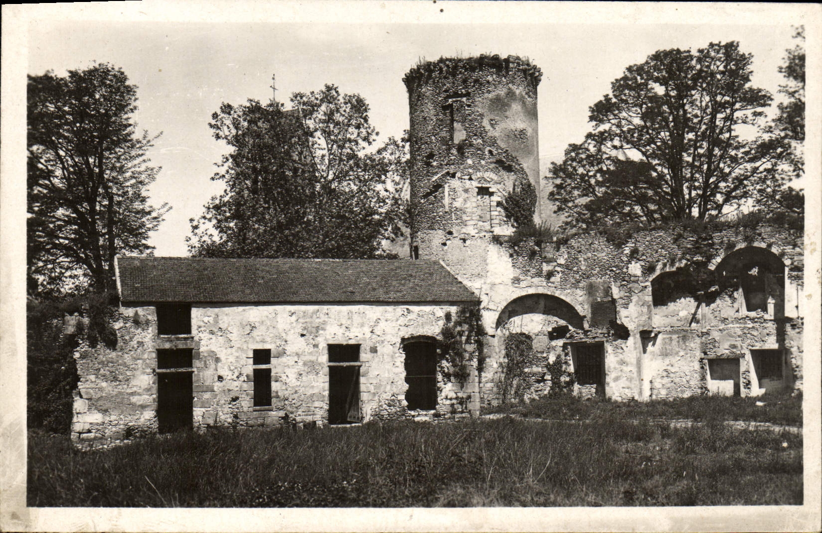 VINTAGE POSTCARD Blandy Tours the Museum And Turn Of the Treasury