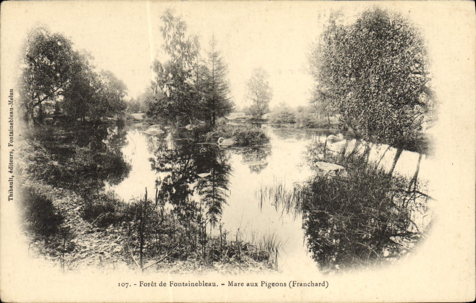 CPA Foret De Fontainebleau Mare Aux Pigeons Franchard