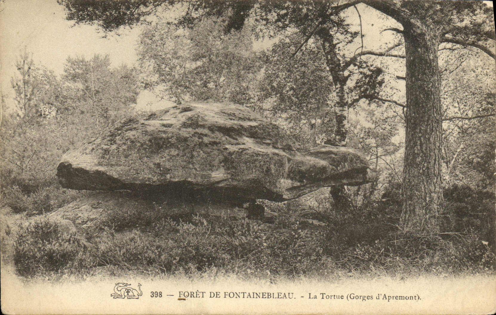 CPA Foret De Fontainebleau La Tortue Gorges d'Apremont