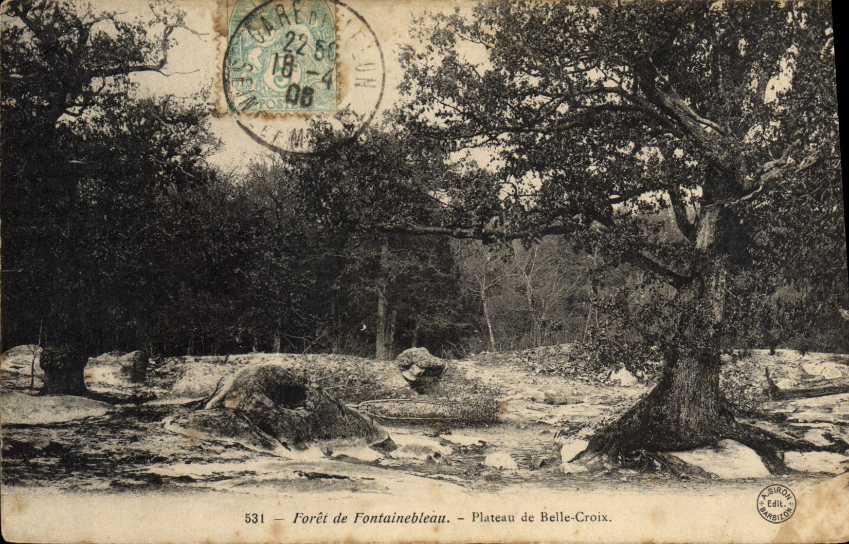 CPA Foret De Fontainebleau Plateau De Belle Croix