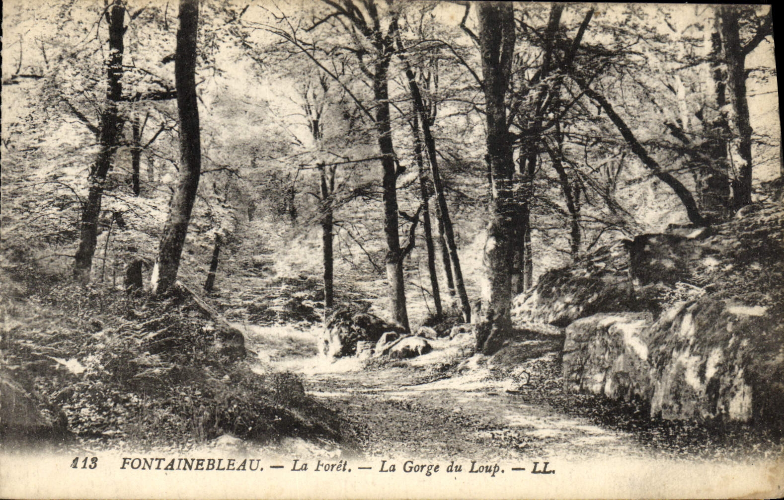 CPA Fontainebleau La Foret La Gorge Du Loup