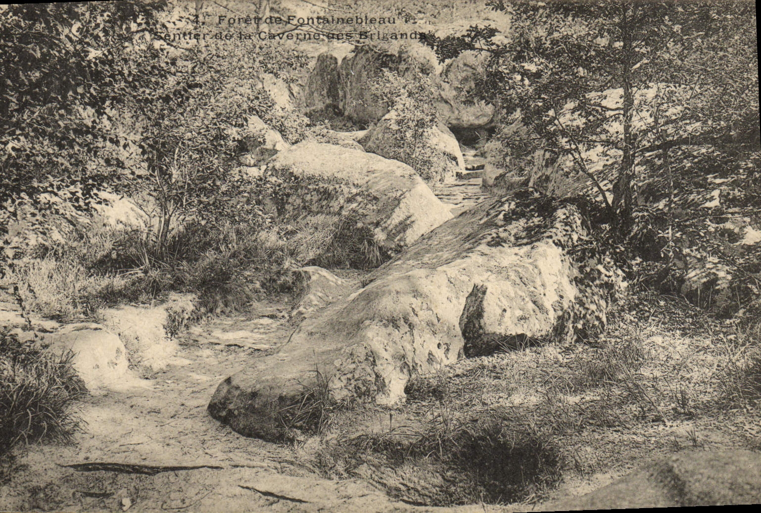 VINTAGE POSTCARD Drill De Fontainebleau Path of the cave of the brigands