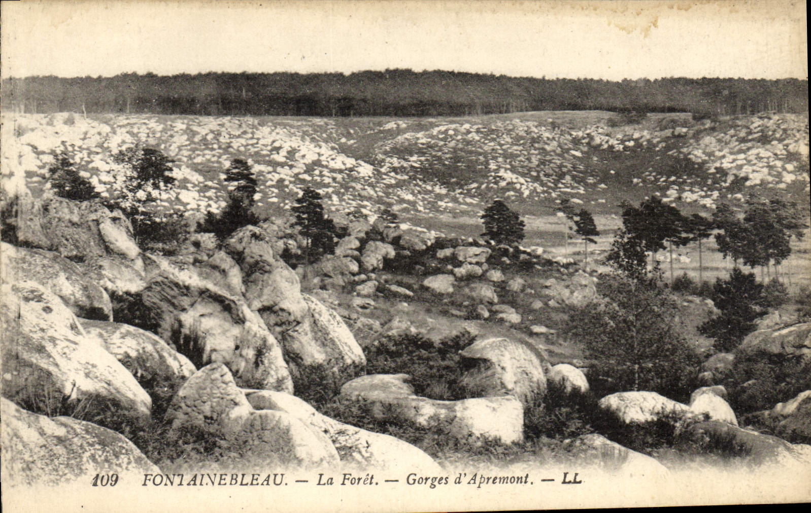 CPA Fontainebleau La Foret Gorges d'Apremont