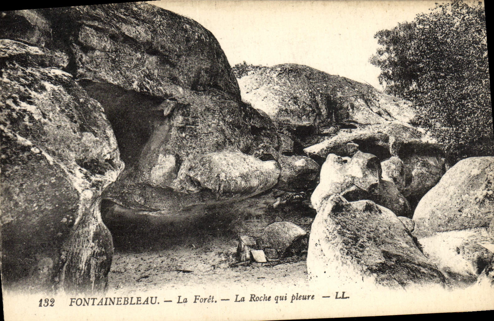CPA Fontainebleau La Foret La Roche Qui Pleure