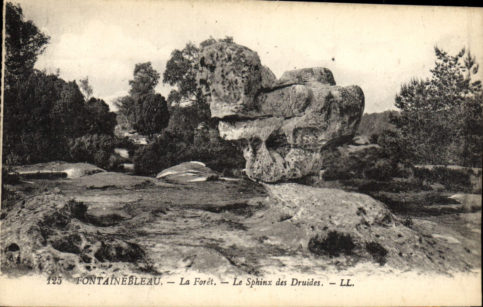 CPA Fontainebleau La Foret Le Sphinx Des Druides