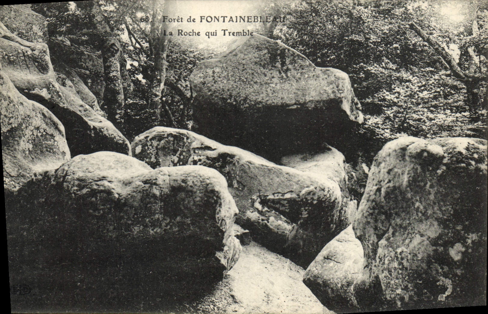 CPA Foret De Fontainebleau La Roche Qui Tremble