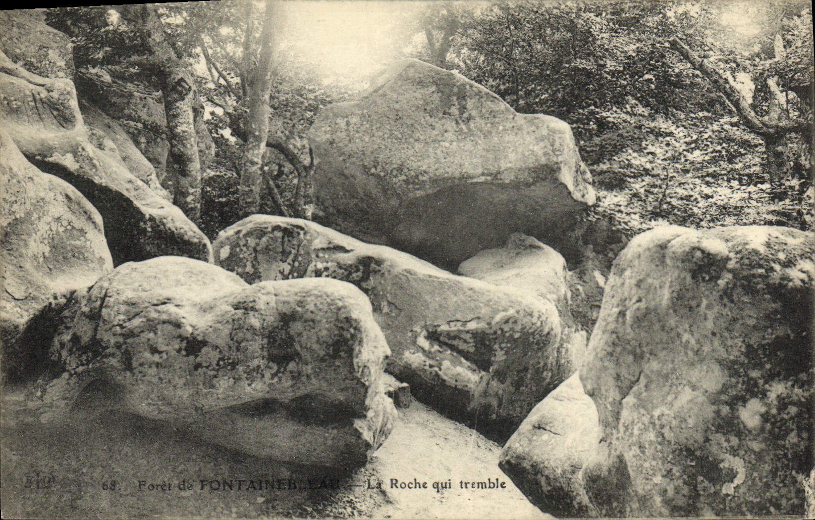 CPA Foret De Fontainebleau La Roche Qui Tremble