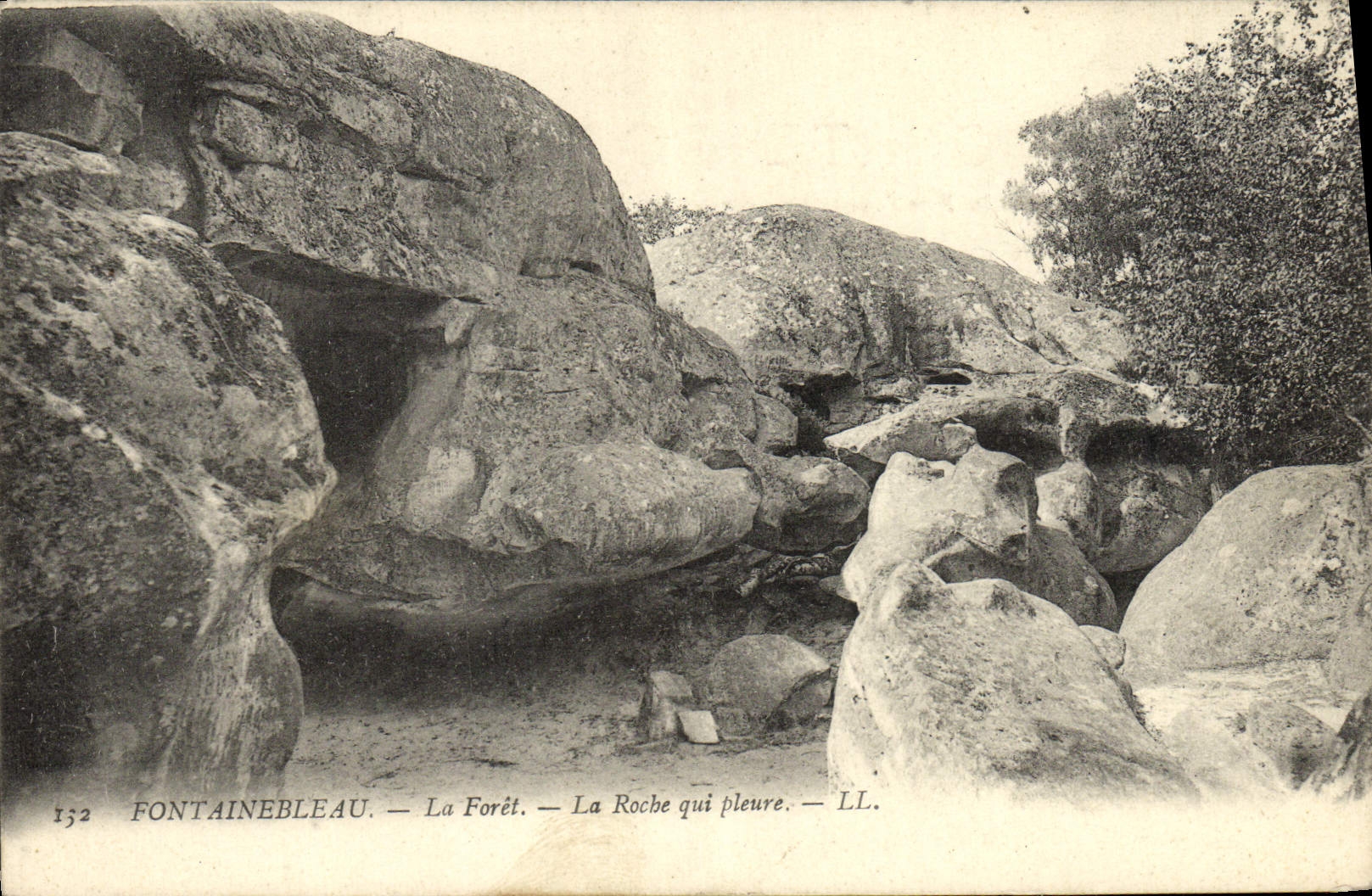 CPA Fontainebleau La Foret La Roche Qui Pleure
