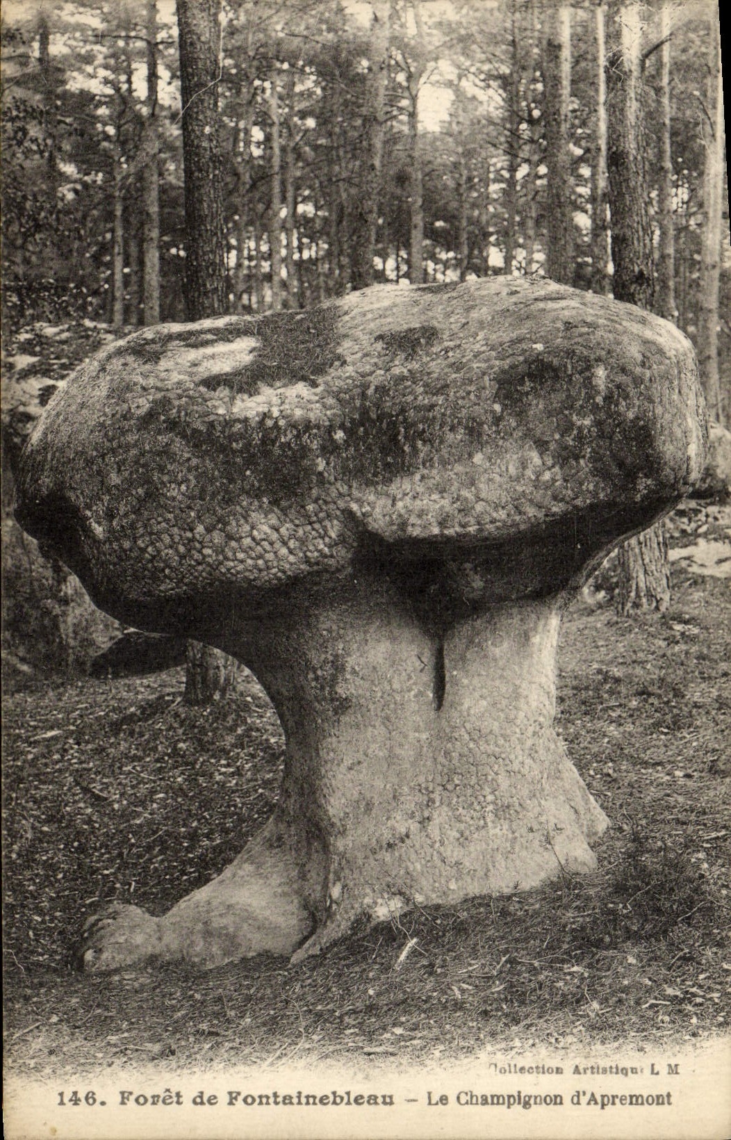 VINTAGE POSTCARD Drill of Fontainebleau the Mushroom D' Apremont
