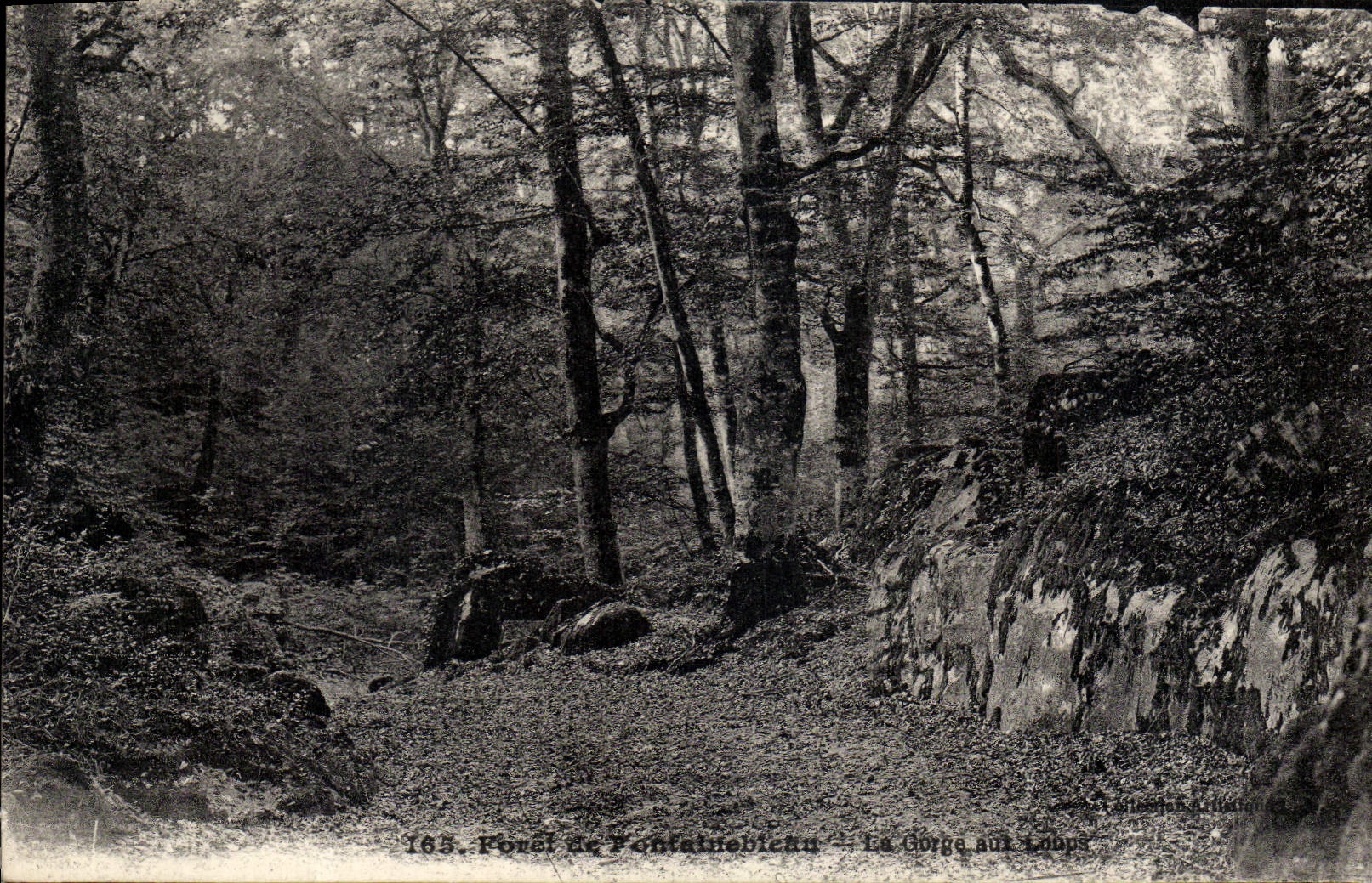 CPA Foret De Fontainebleau La Gorge Aux Loups