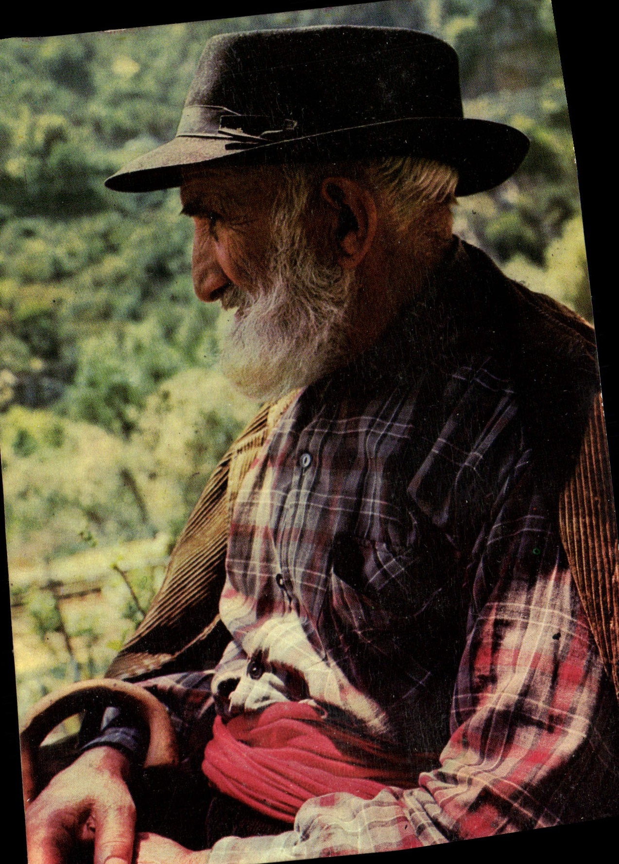 CPM La Corse Inoubliale Folklore Corsica