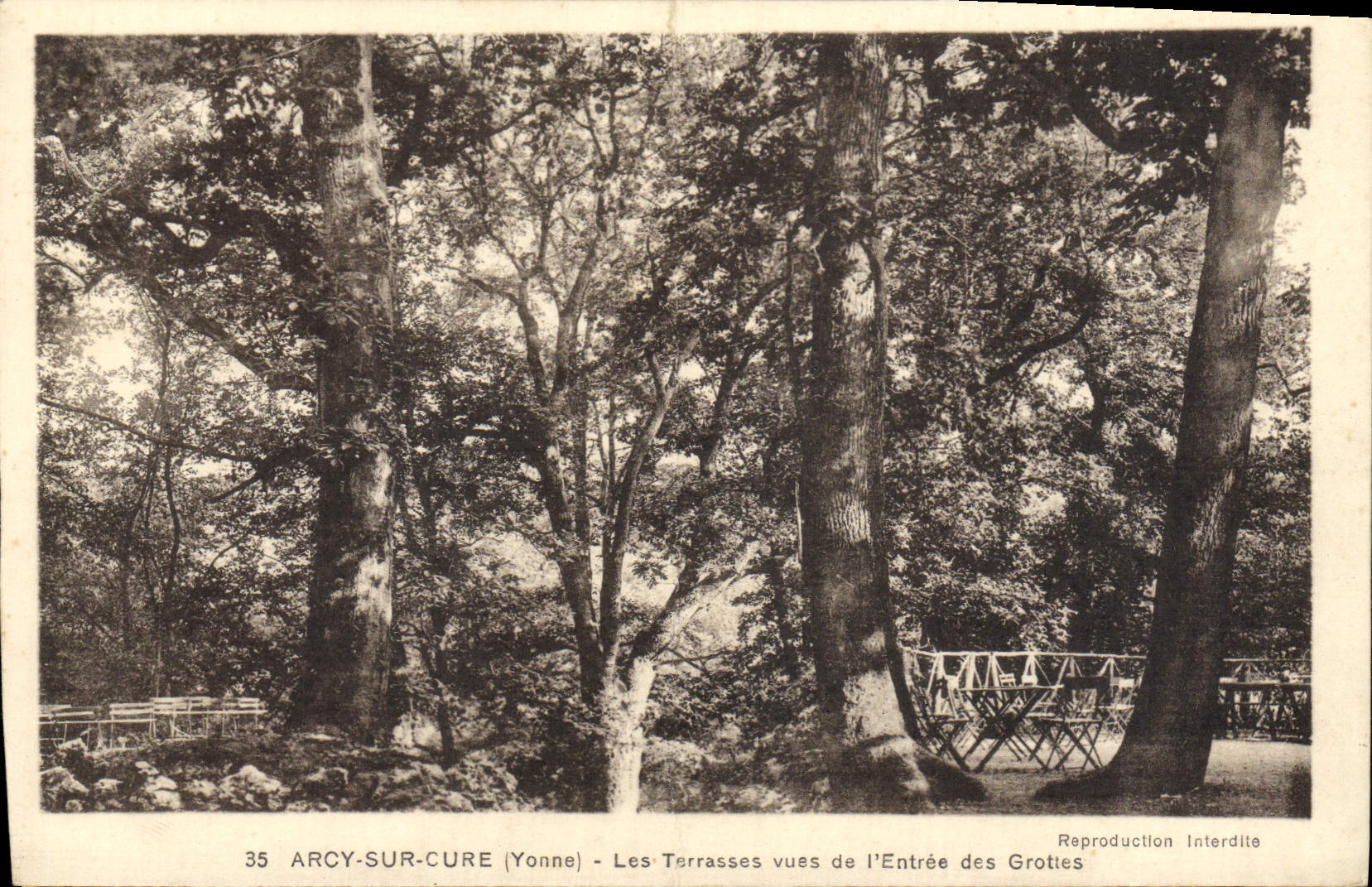 VINTAGE POSTCARD Arcy on Cure Tarrasses seen of the Entry of the Caves