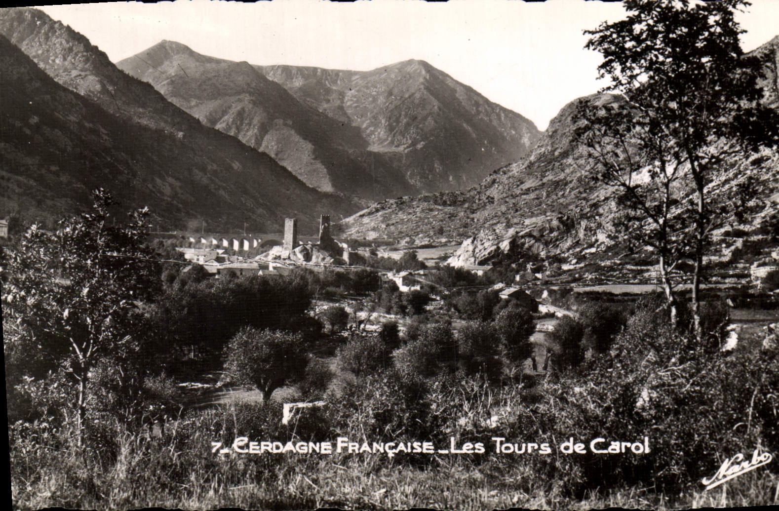 MODERN CARD Carried Tours of Carol