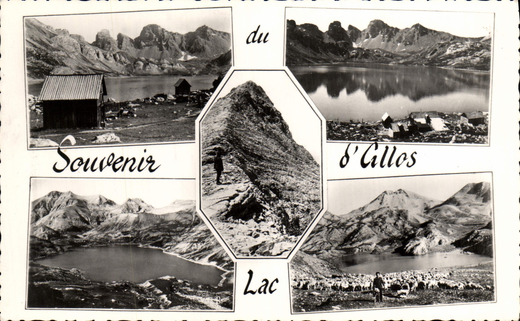CPM Le Lac d'Allos Souvenir 