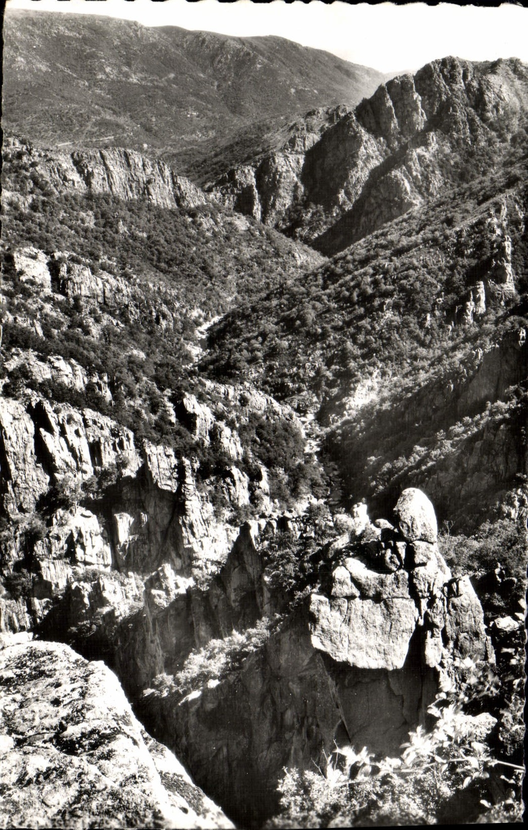 MODERN CARD Surroundings of Villefort Falls of Chassezac Seen of the View-point of the Guerin Guard