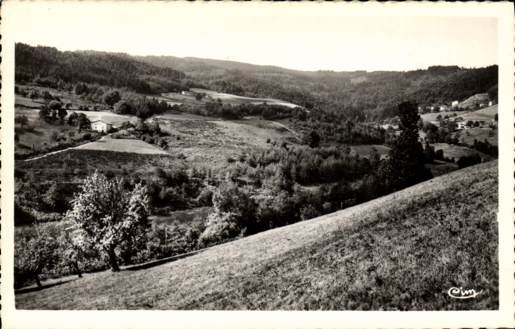 MODERN CARD St Nizier d' Azergues Wood of the Rock