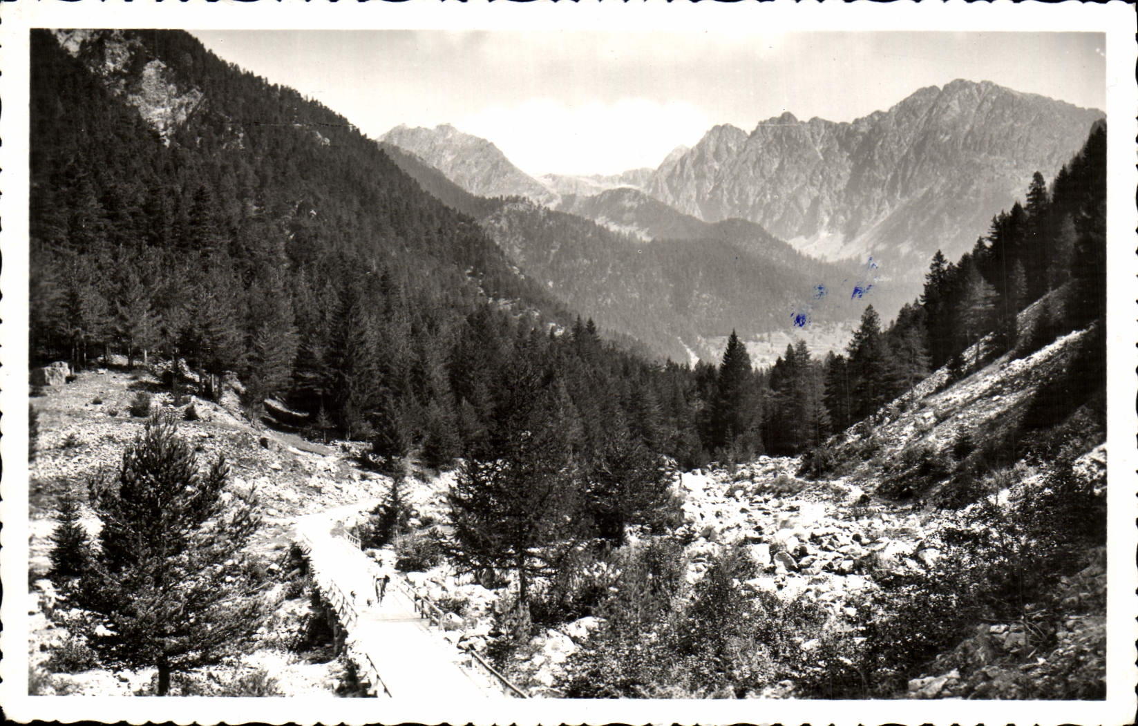 CPM St Martin Vesubie La Route du Boreon