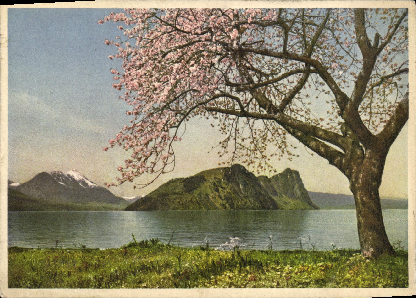 MODERN CARD Burgenstock