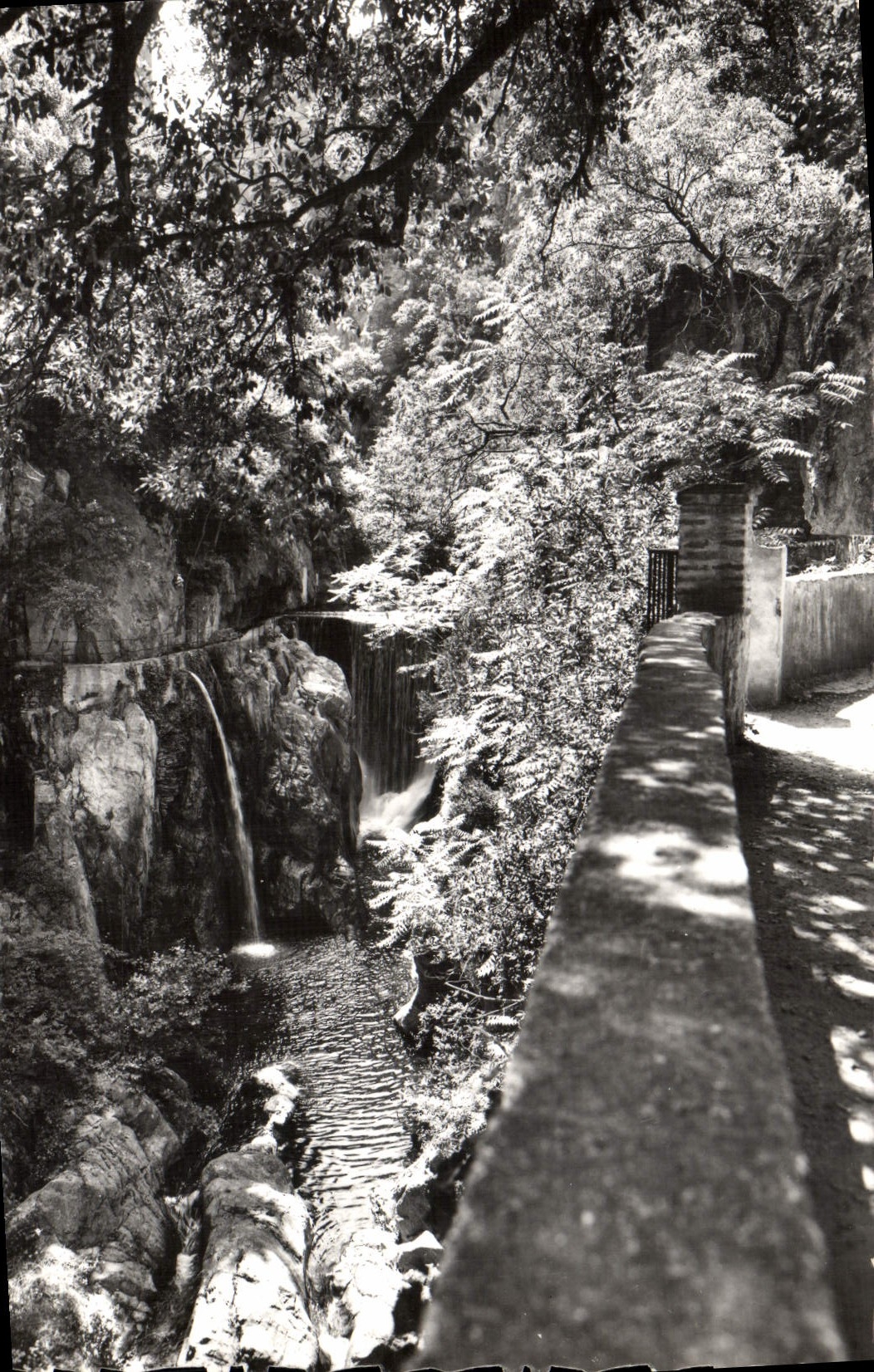 MODERN CARD Amelie les Bains throats of Mondony