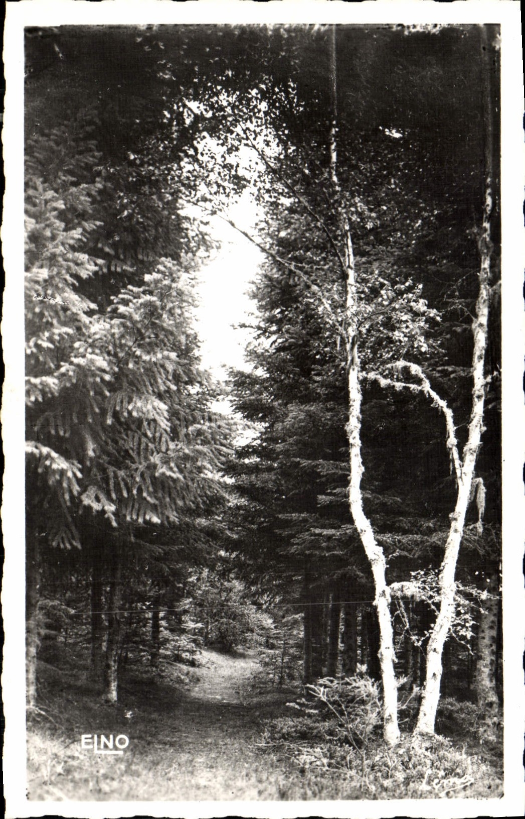 MODERN CARD Louvesc Under wood in the drill of black wood
