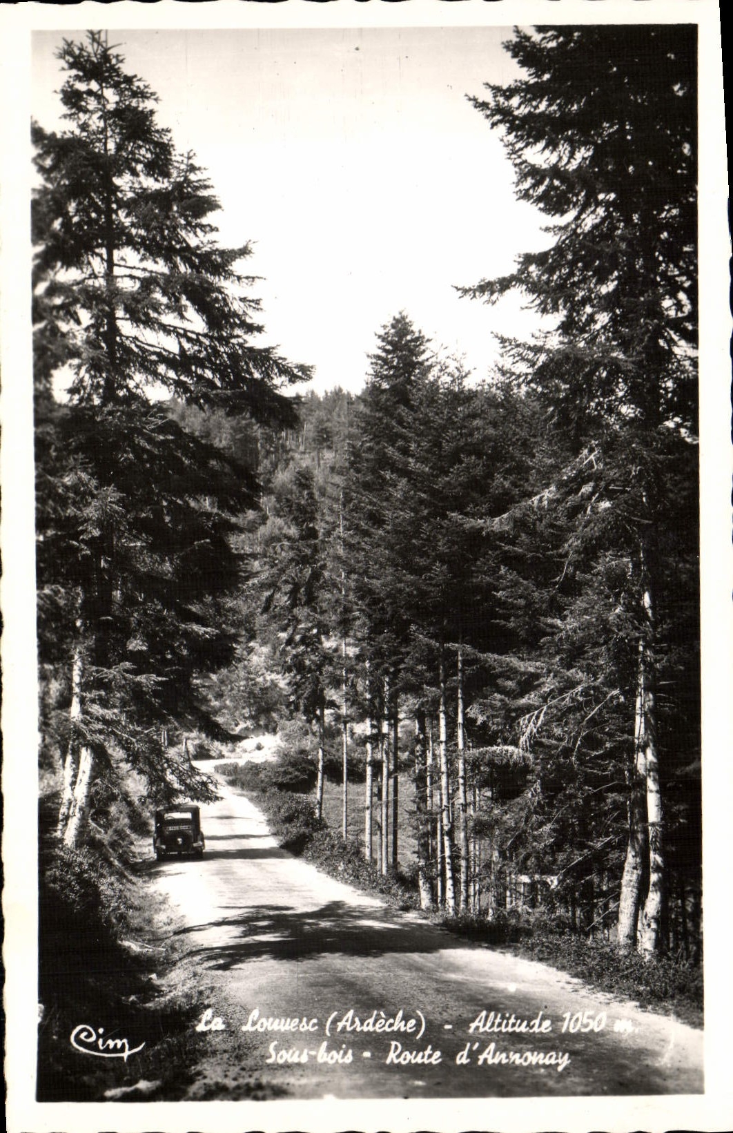 CPM La Louvesc Sous bois Route d'Annonay