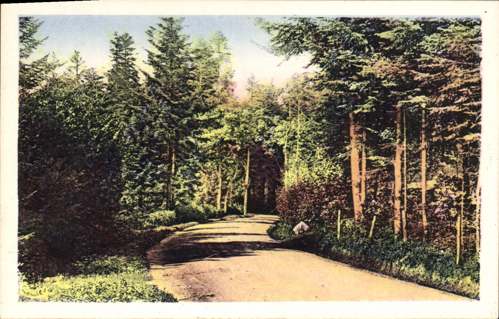 MODERN CARD St Nizier d' Azergues Entered of the Wood of Favardy