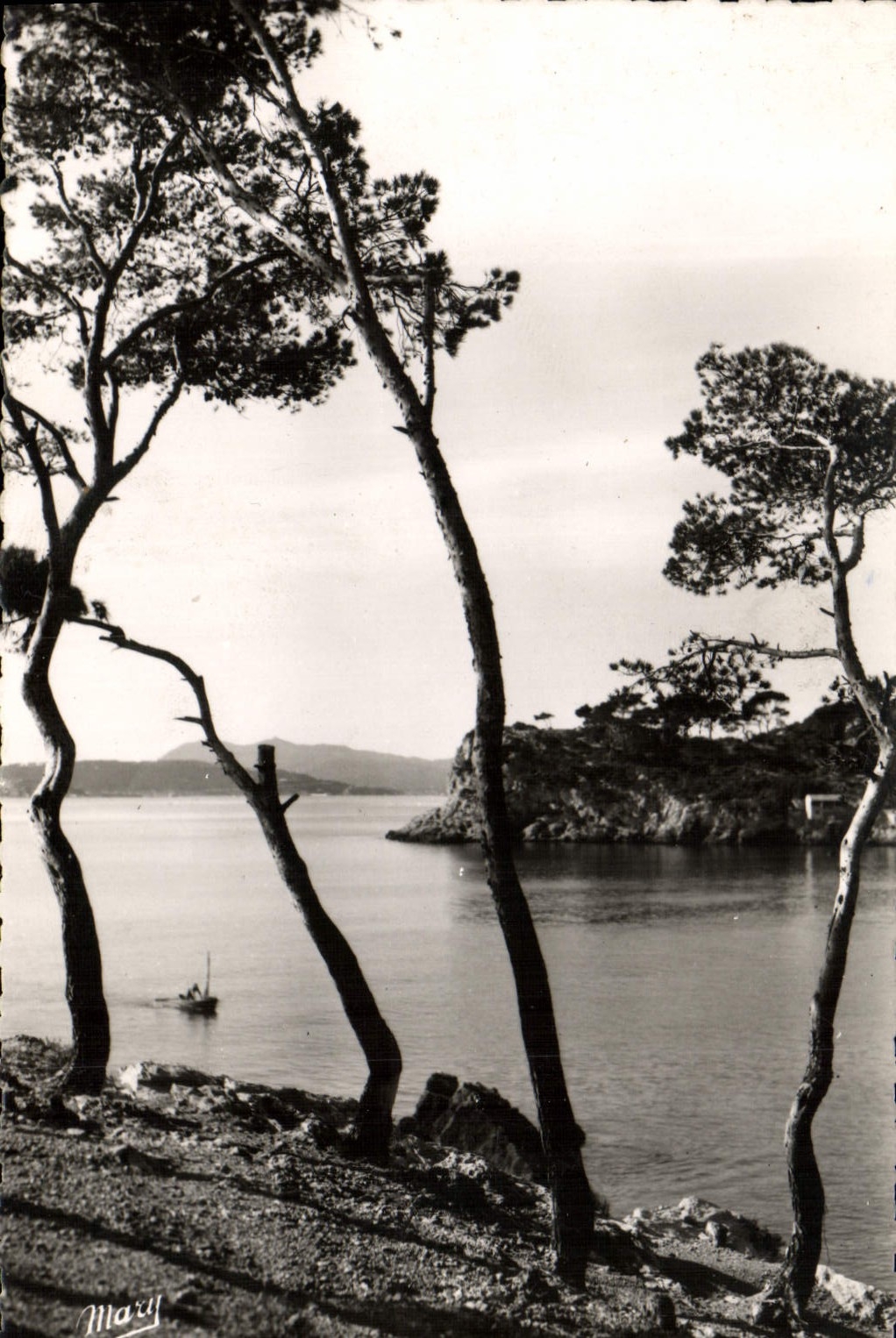 MODERN CARD Toulon the Brown Cape