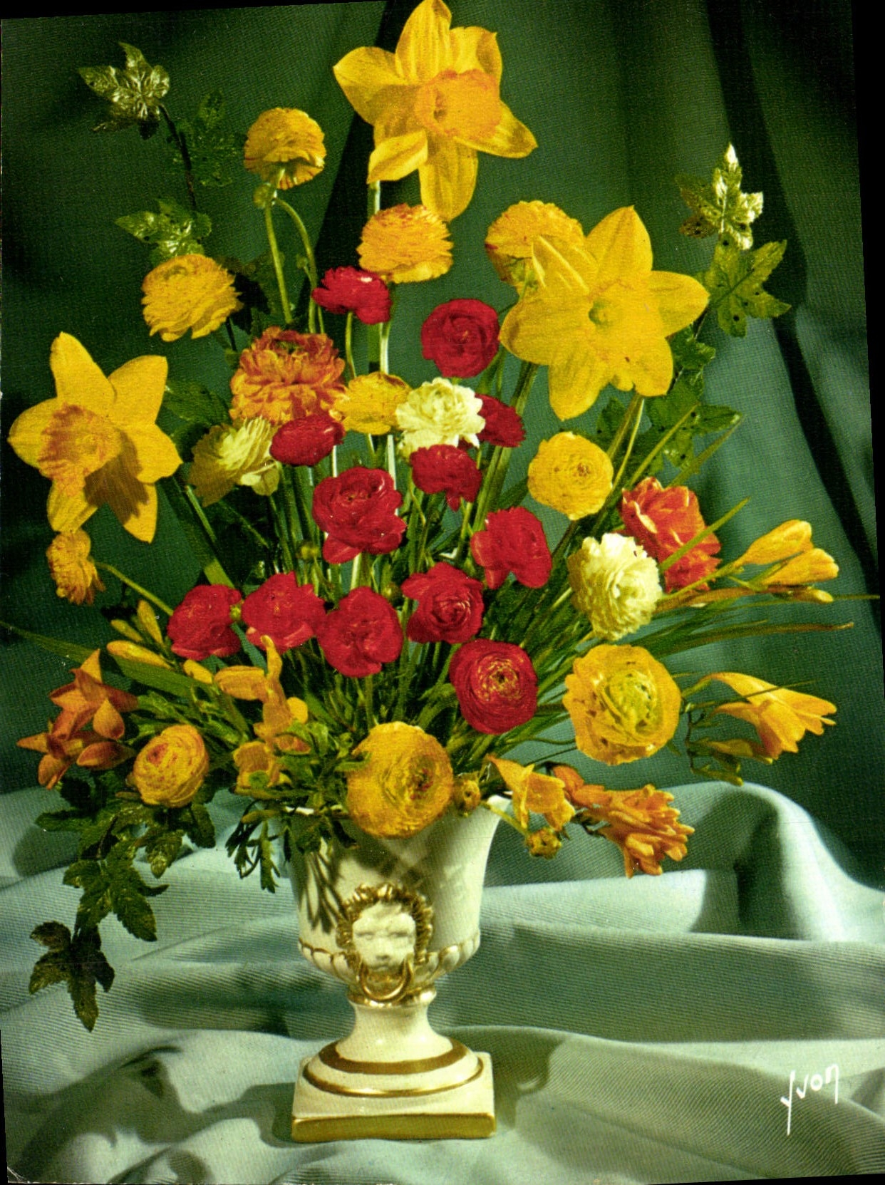 MODERN CARD Bouquets Flowers