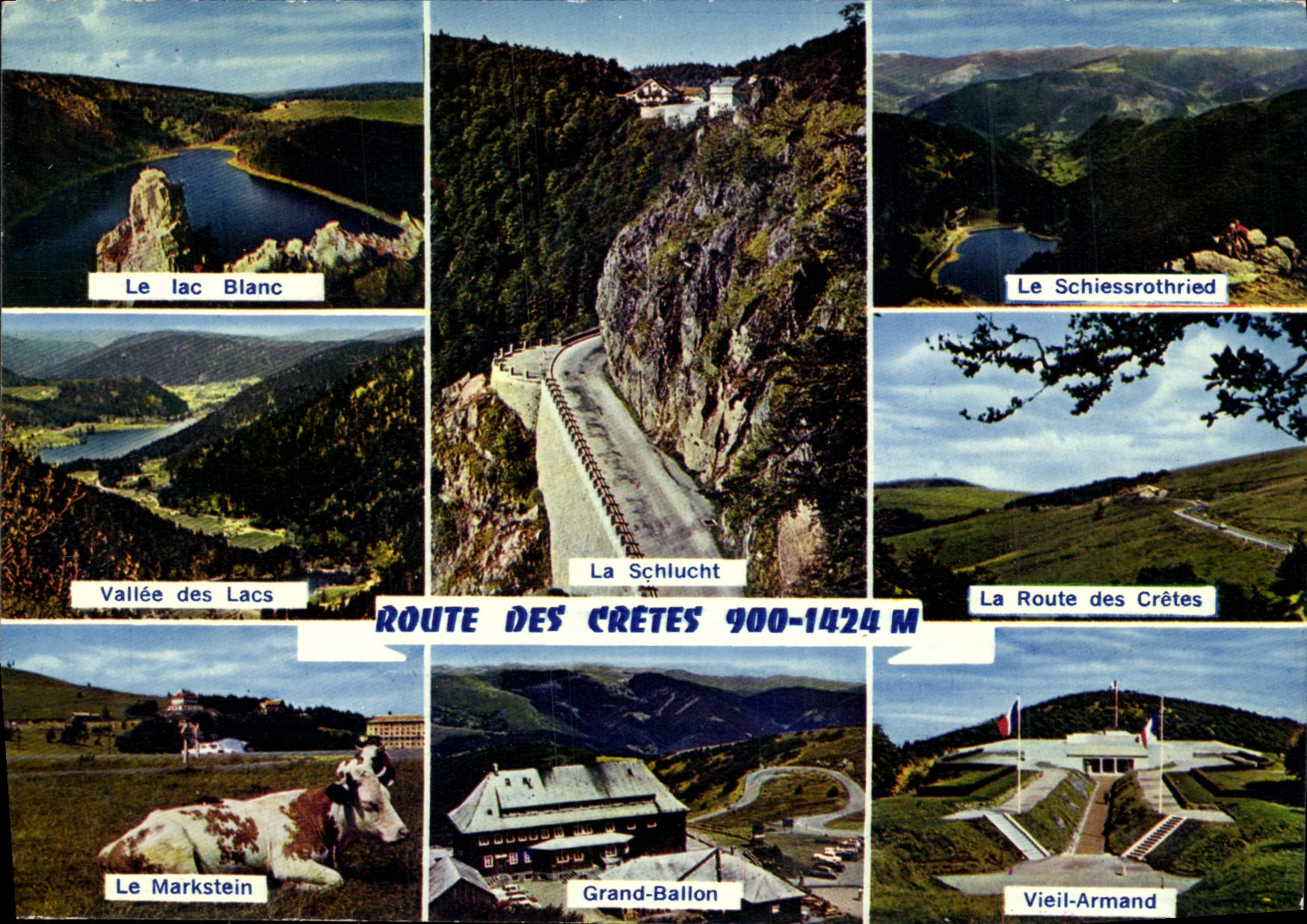 MODERN CARD Road Of the Peaks Old Markstein Cow Armand Grand Balloon Valley of the Schuessrothried lakes