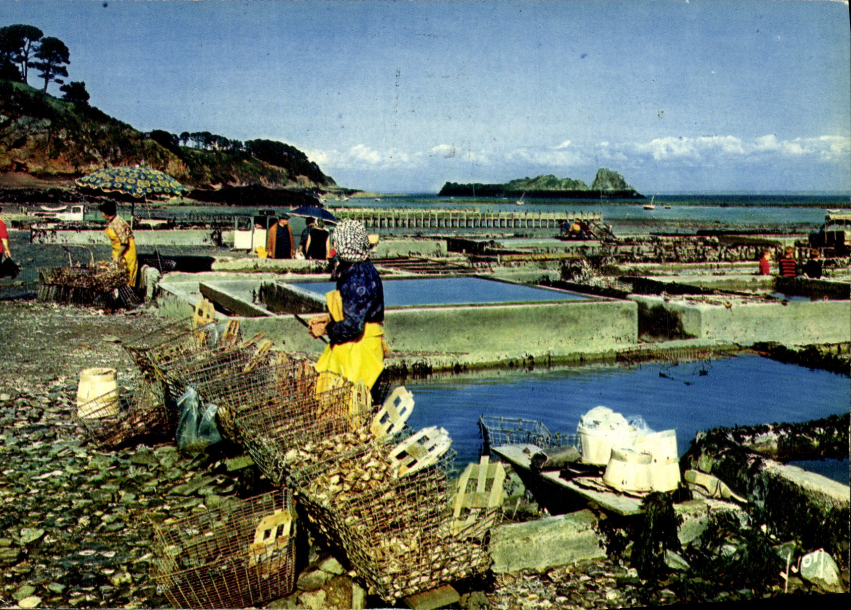MODERN CARD Colors And Light Of Cancale France the Oyster bed And the Rock De Cancale ostreiculture