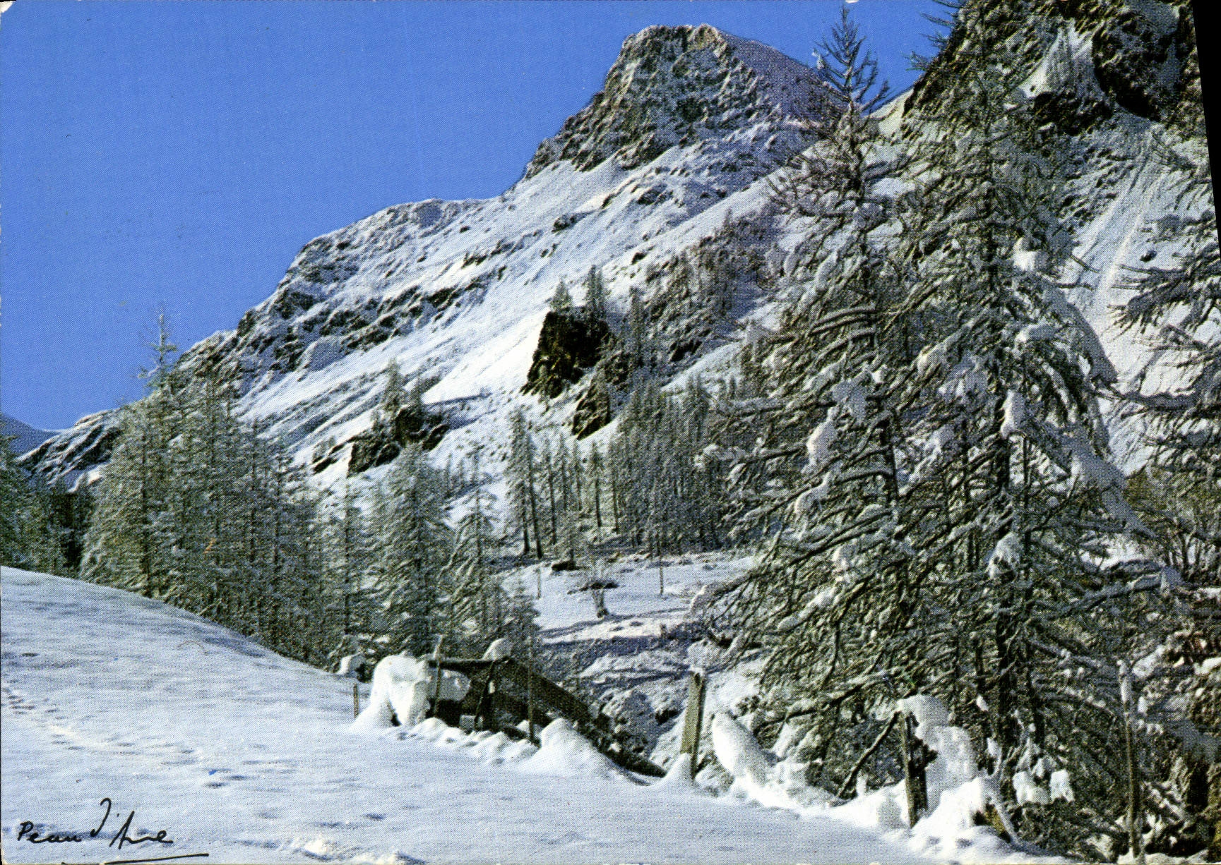 CPM L'Hiver Dans Les Alpes