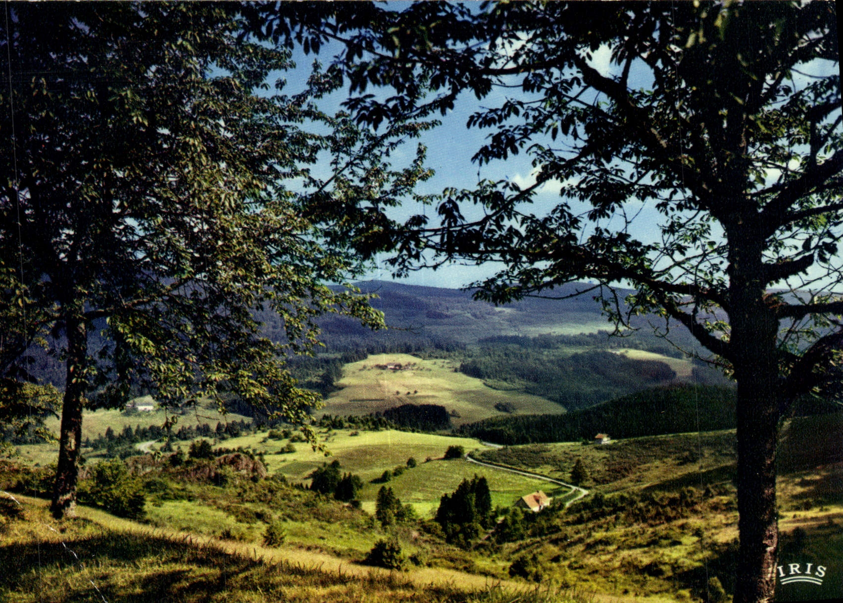 CPM Col Du Bonhomme Vue Sur La Vallee