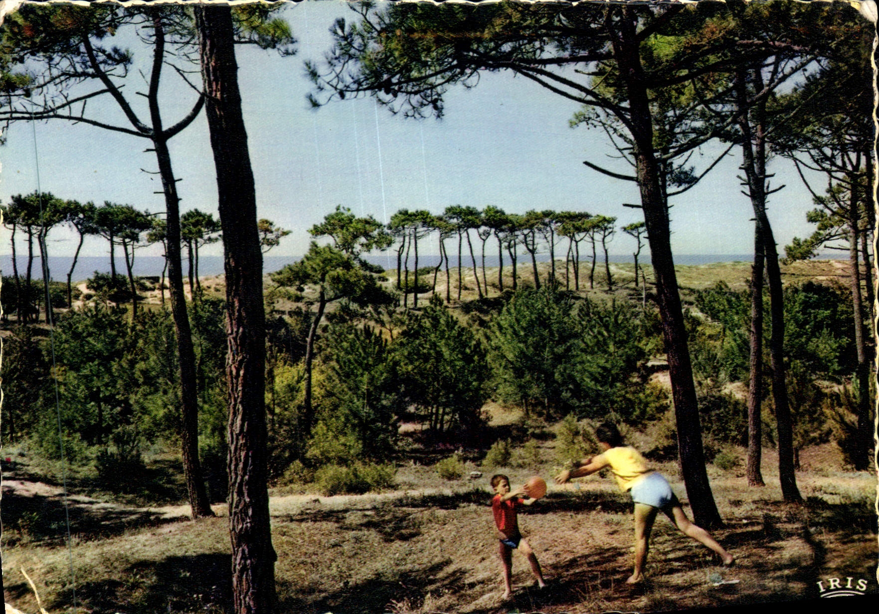 MODERN CARD the Vendée Children