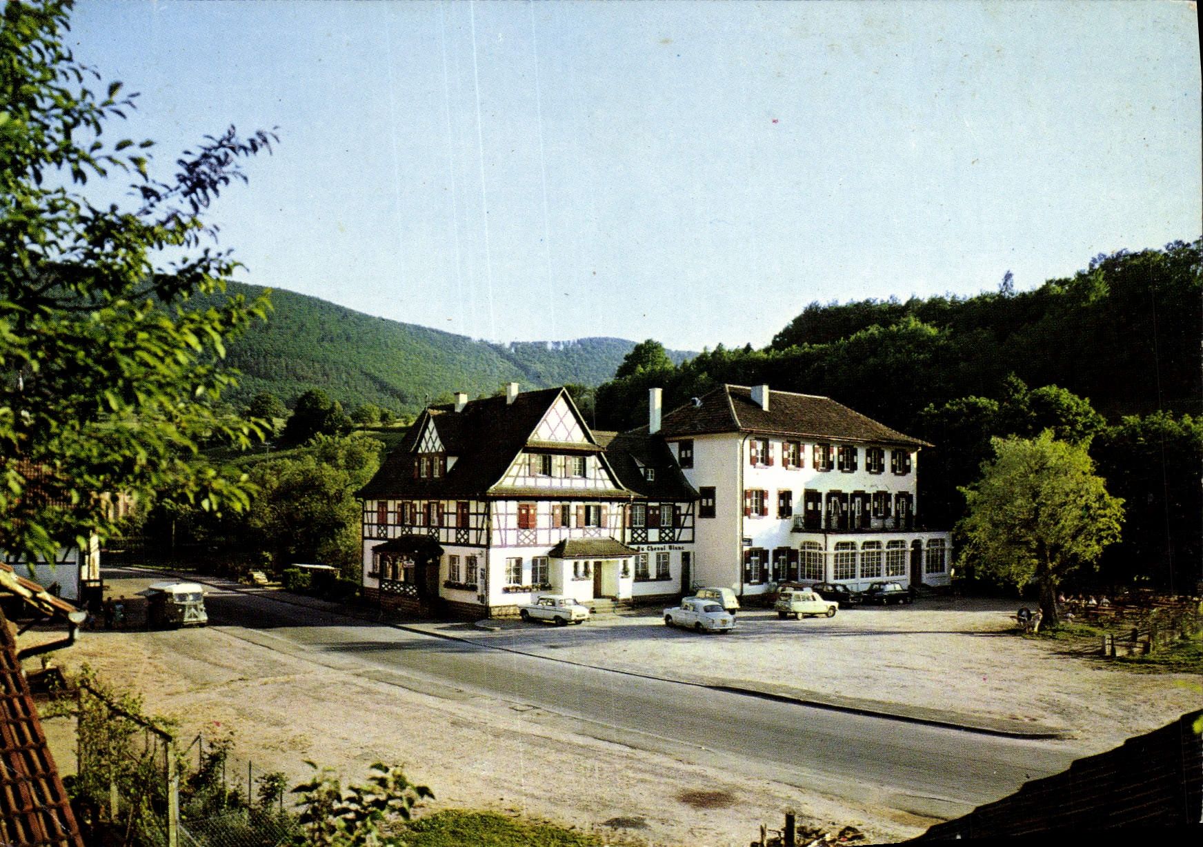 MODERN CARD Alsace Niedersteinbach Hotel with the White Horse Zinck