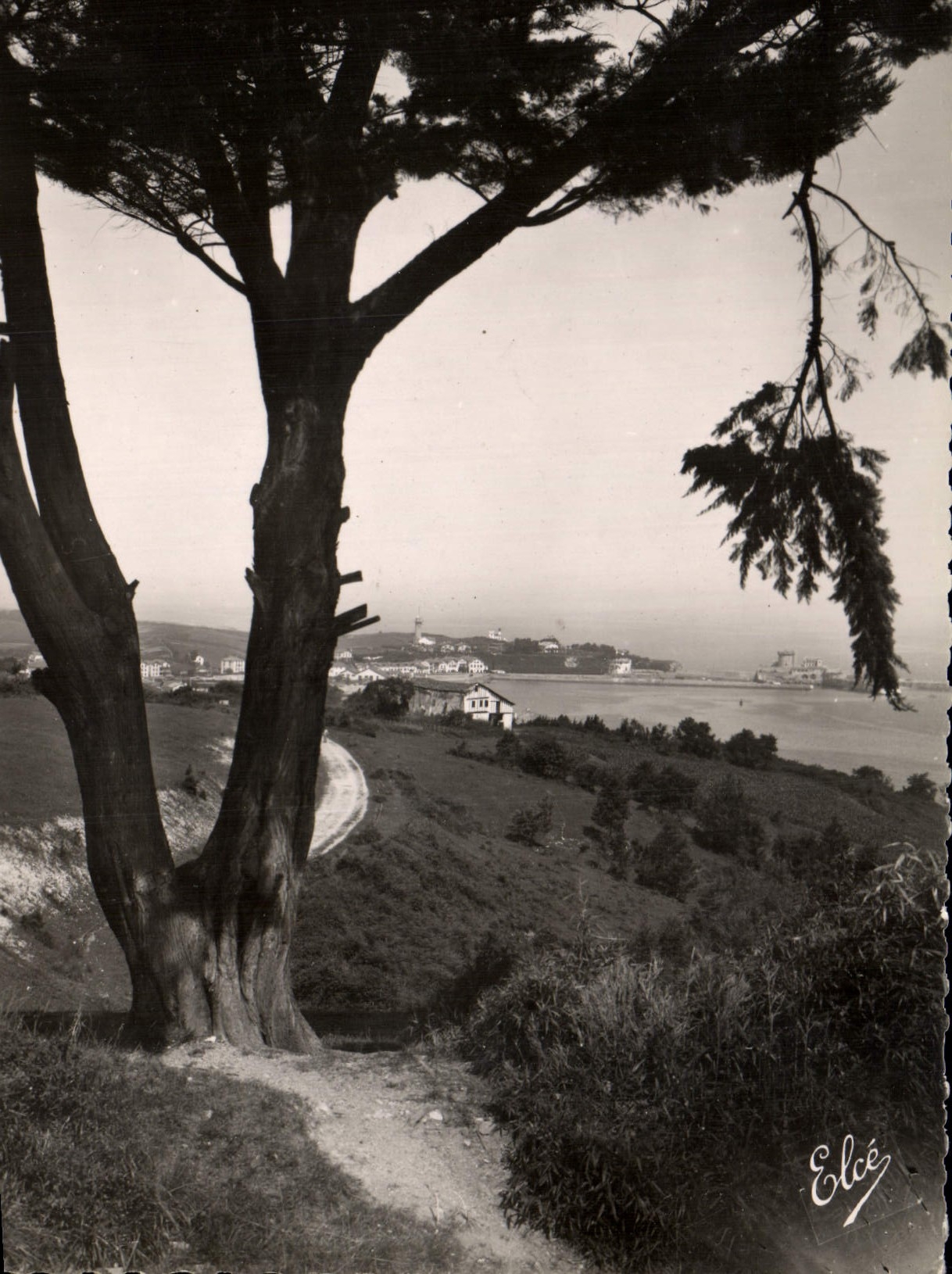 MODERN CARD St Jean De Luz Overall picture Prise Of co. Beard